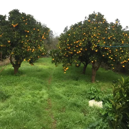 Quaint Holiday In Mira With Garden